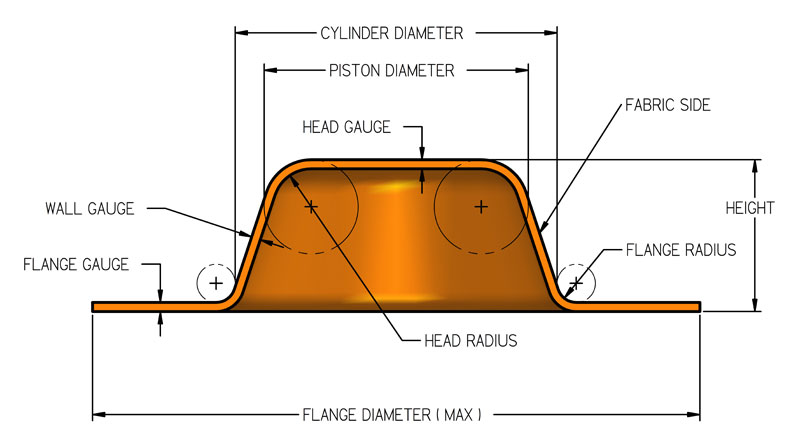 Tipo F Diaphragma